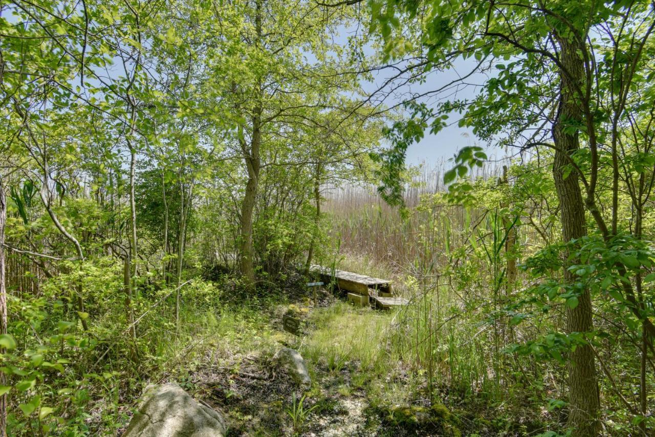 Mattapoisett Home On 7 Acres With Private Beach! Екстер'єр фото